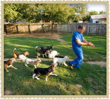 Doggy Daycare in Austin, TX